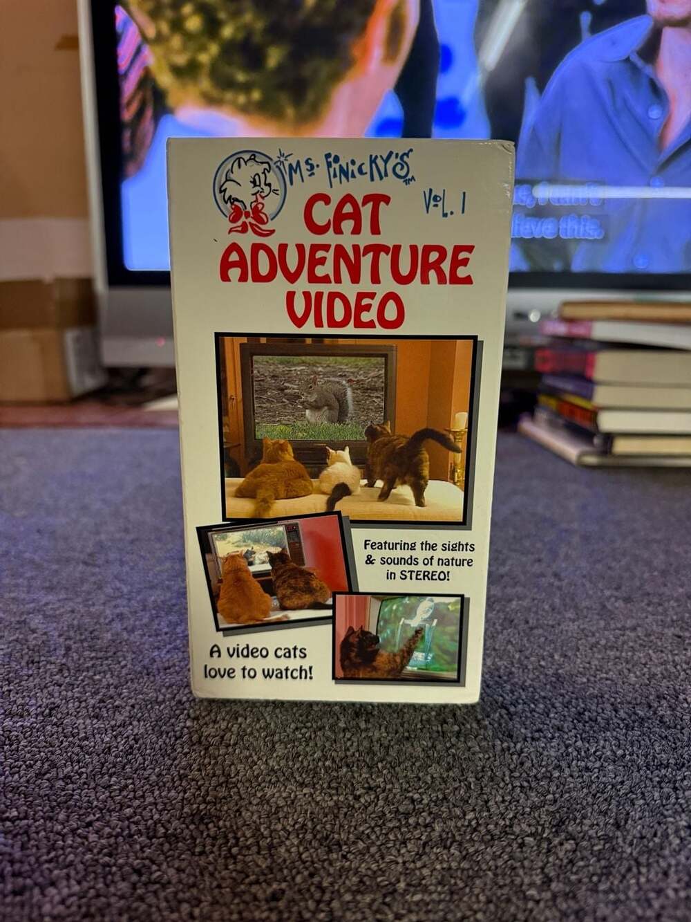 Ms. Finicky's Cat Adventure Video Vol. 1 VHS